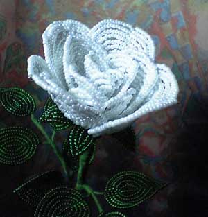 �z���C�g���[�Y