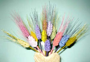 �r�[�Y�t�����[�F���̍���