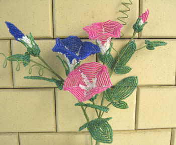 �r�[�Y�t�����[�@�A�T�K�I